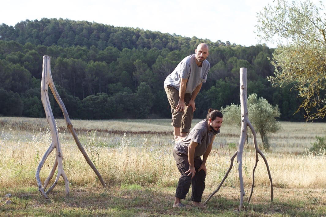 Lo que los árboles no cuentan